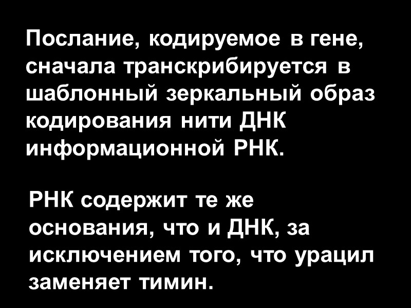 Послание, кодируемое в гене, сначала транскрибируется в шаблонный зеркальный образ кодирования нити ДНК информационной